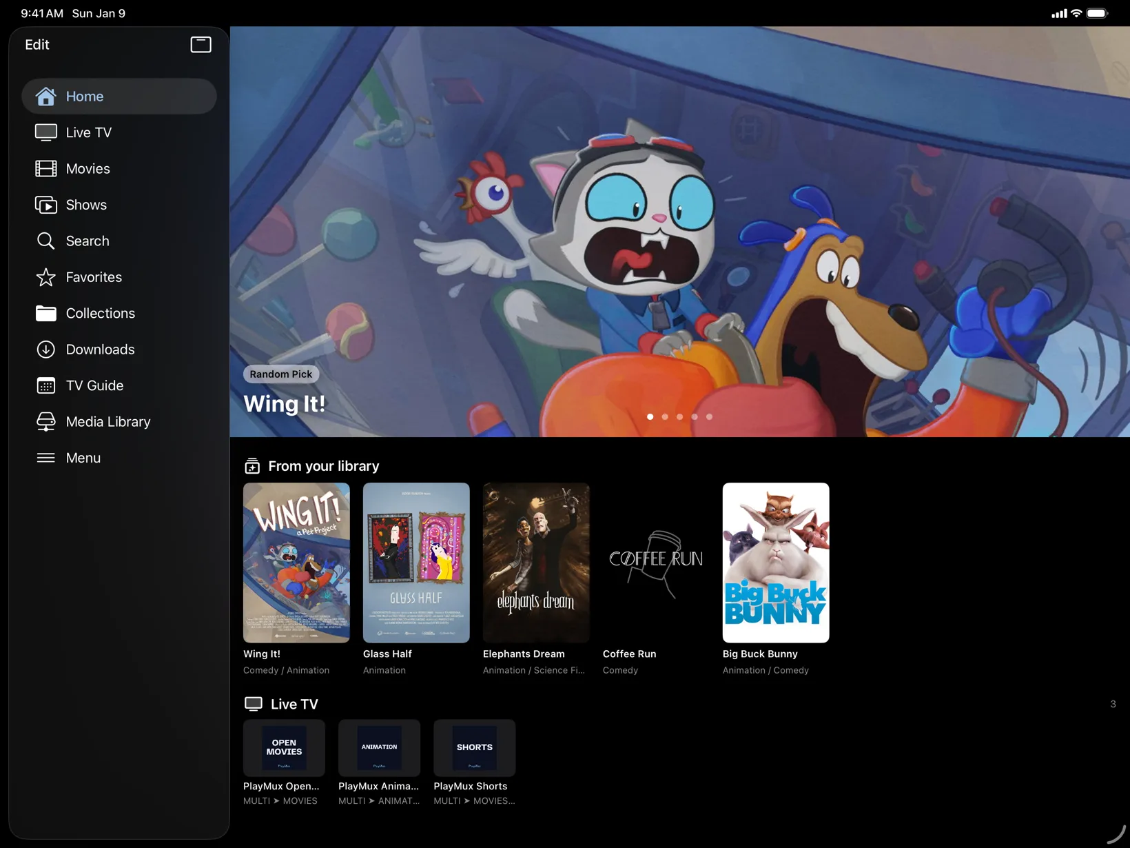 PlayMux on iPad