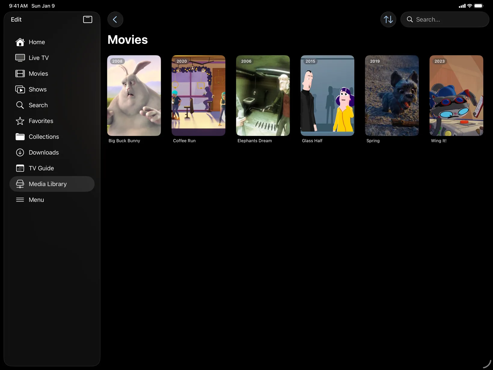 A Jellyfin library with open movies in PlayMux on iPad